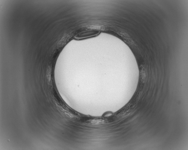 X0000067330458200604281423