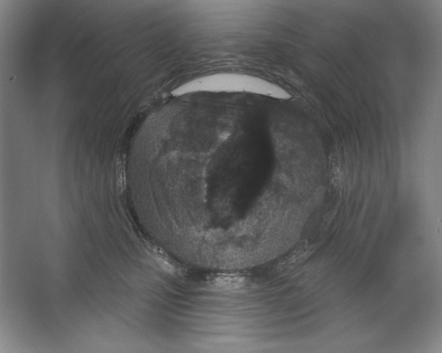 X0000067330471200604281423