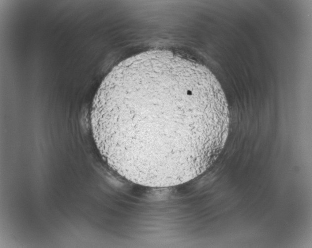 X0000067330479200604281424