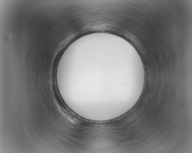 X0000067330486200604281423