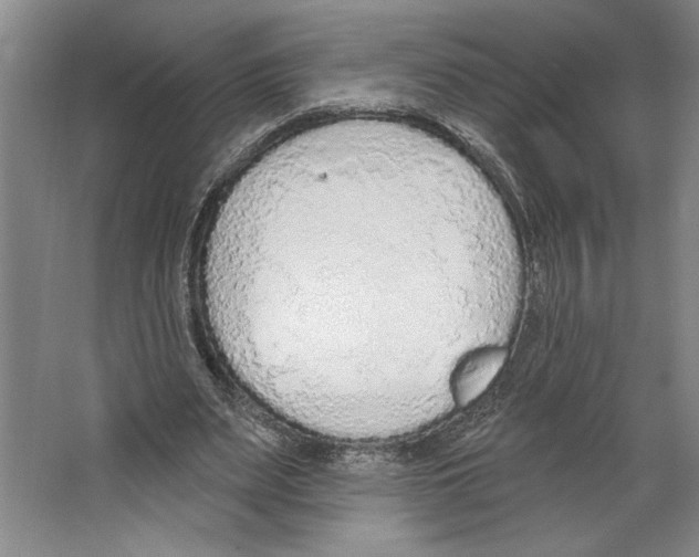 X0000067330487200604281423