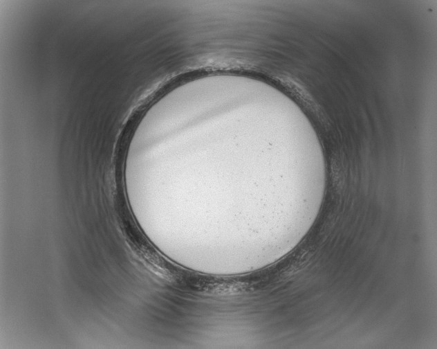 X0000067330488200604281423