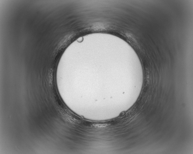 X0000067330495200604281423