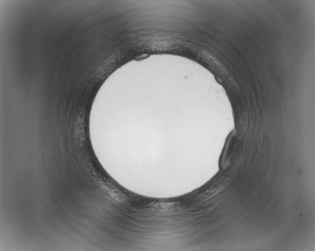 X0000067330497200604281423