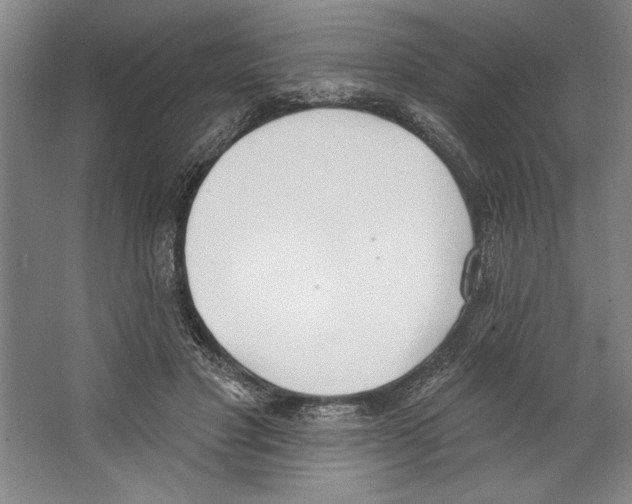X0000067330501200604281422
