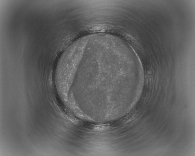X0000067330504200604281422