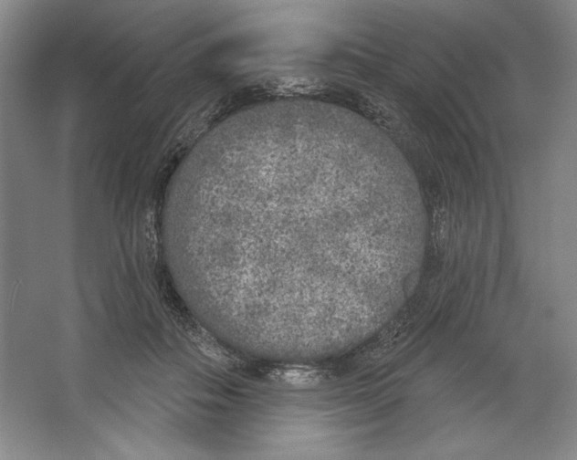 X0000067330506200604281422