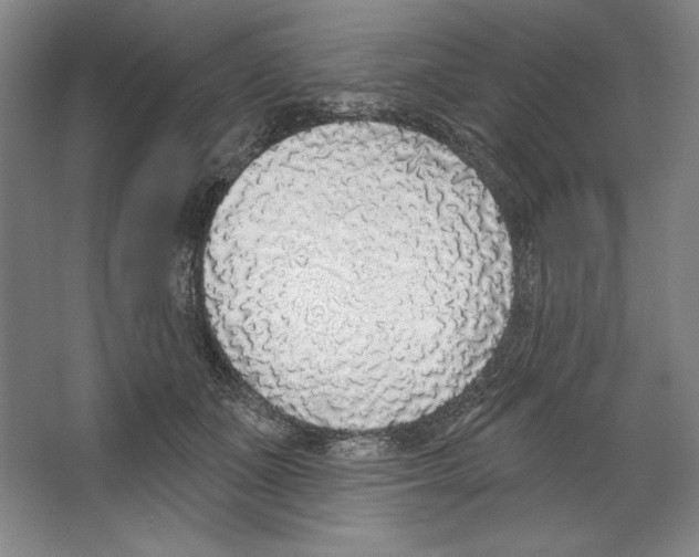 X0000067330511200604281422