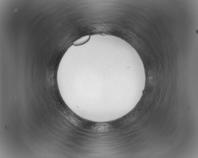 X0000067330514200604281422