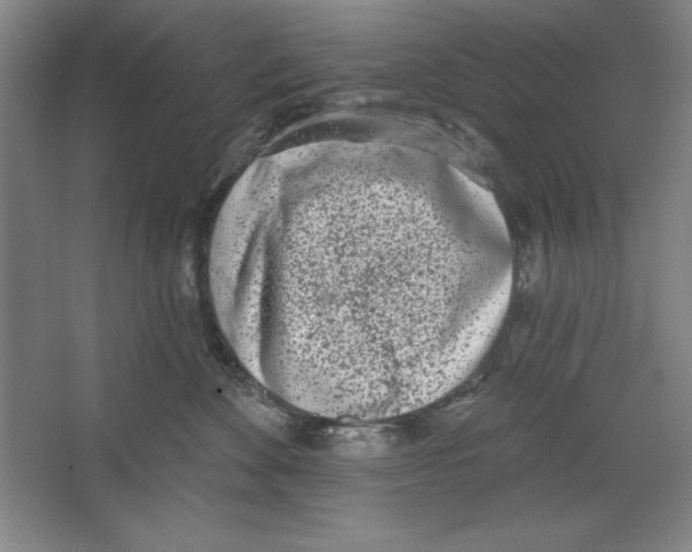 X0000067330524200604281422