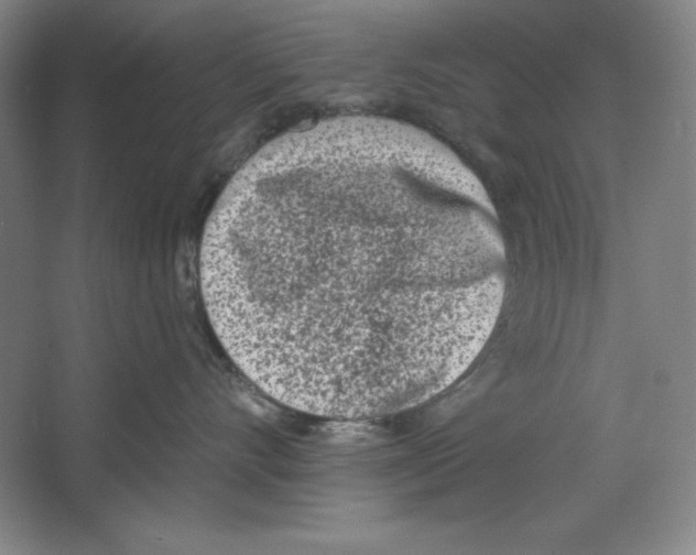 X0000067330528200604281422