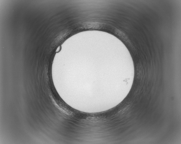 X0000067330538200604281421
