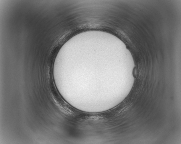 X0000067330542200604281421
