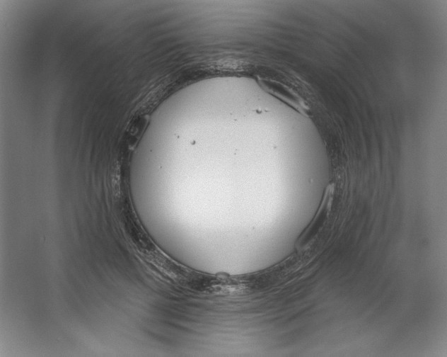 X0000067330552200604281422