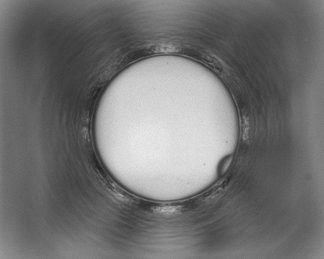 X0000067330553200604281422