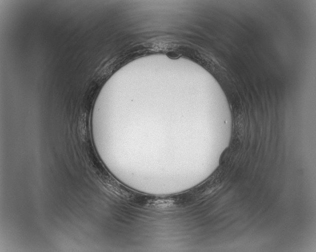 X0000067330554200604281422