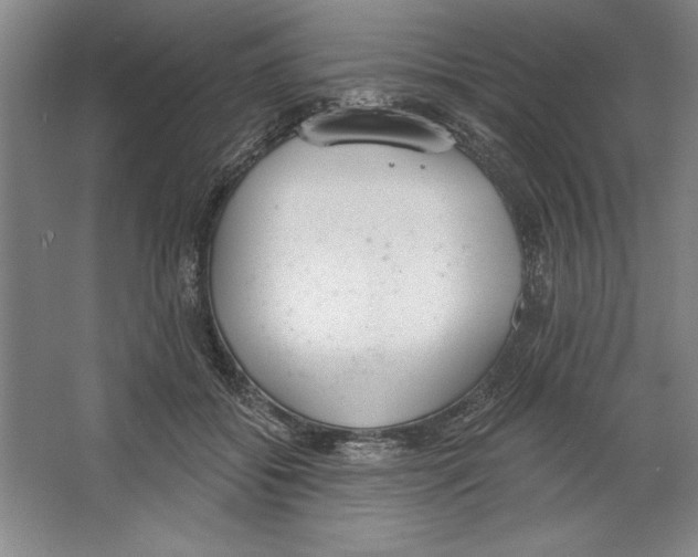 X0000067330556200604281422