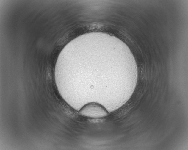 X0000067330561200604281422