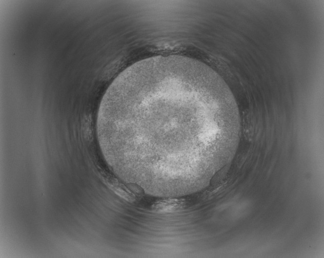 X0000067330563200604281422
