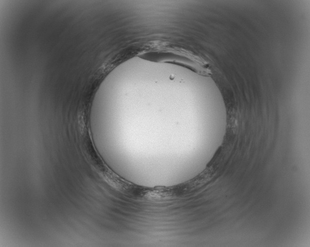 X0000067330568200604281422