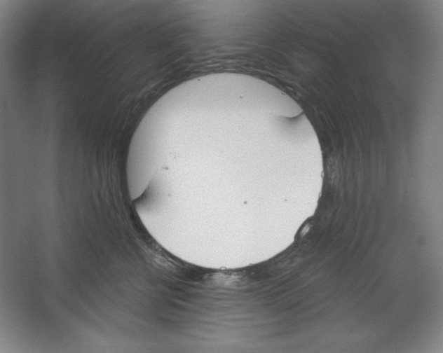 X0000067330570200604281422