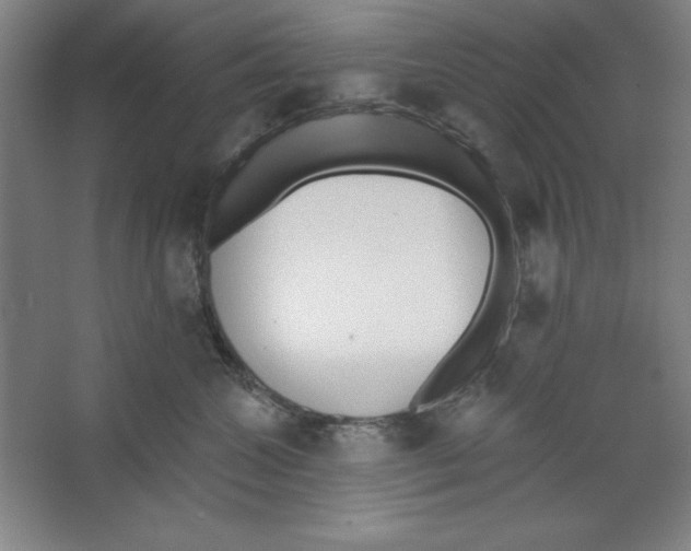 X0000067330572200604281422