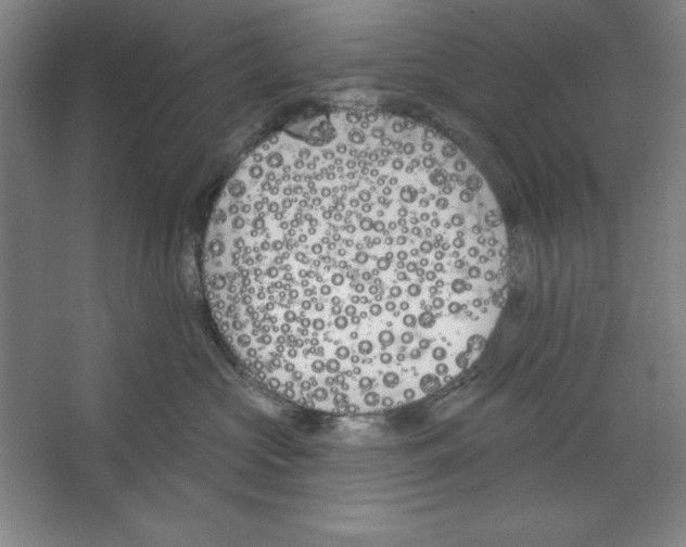 X0000067330573200604281422