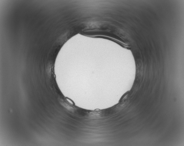 X0000067330574200604281422