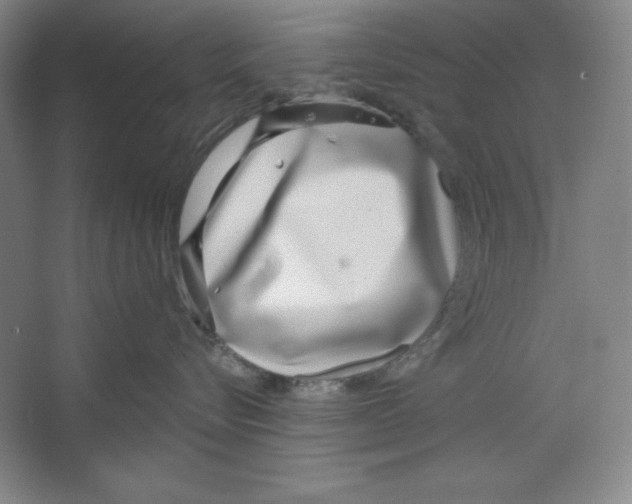 X0000067330576200604281422