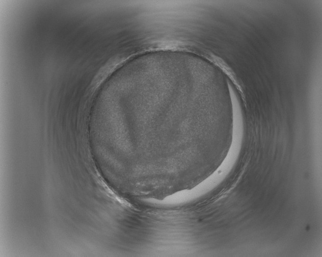 X0000067330577200604281421