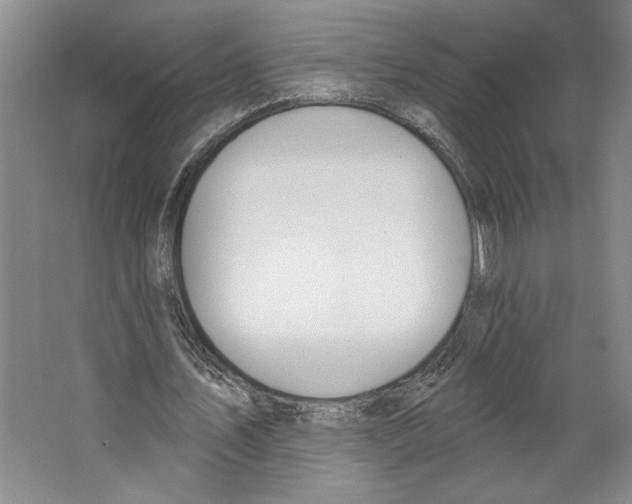 X0000067330579200604281421