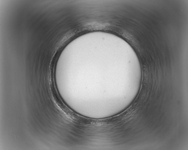 X0000067330582200604281421