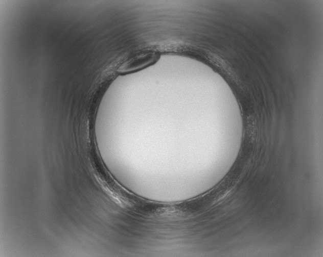 X0000067330589200604281421