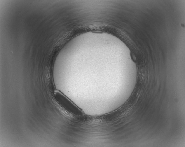 X0000067330593200604281421