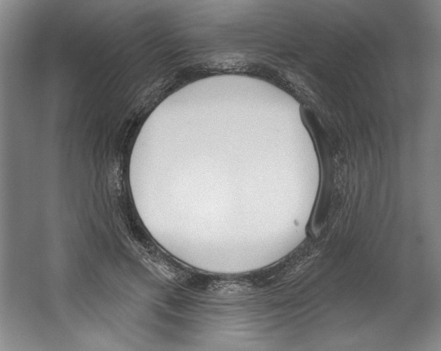 X0000067330597200604281421
