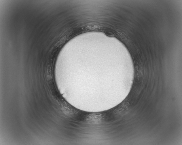 X0000067330606200604281421