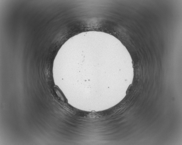 X0000067330608200604281421
