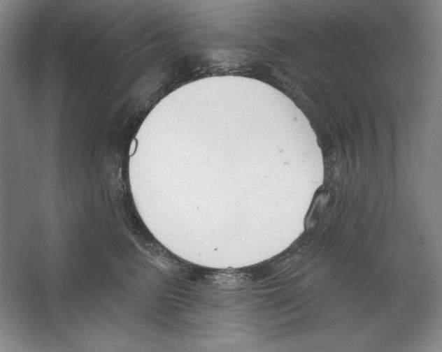 X0000067330615200604281421