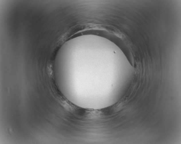 X0000067330621200604281420