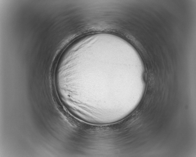 X0000067330626200604281420