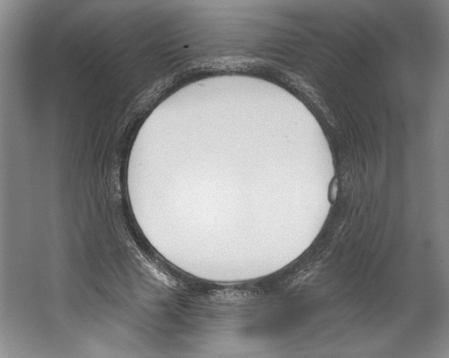 X0000067330633200604281420