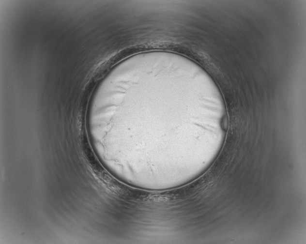 X0000067330640200604281420