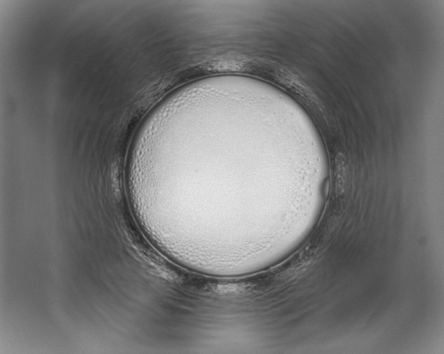 X0000067330641200604281420