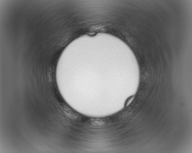 X0000067330658200604281420