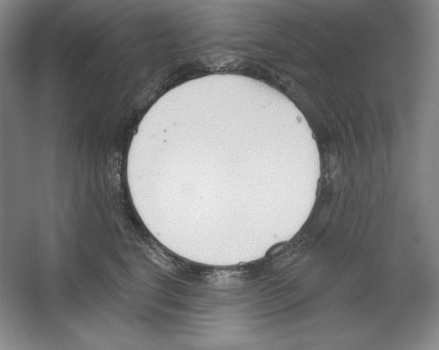 X0000067330664200604281420