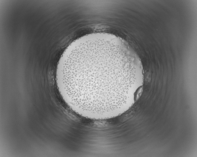X0000067330666200604281420