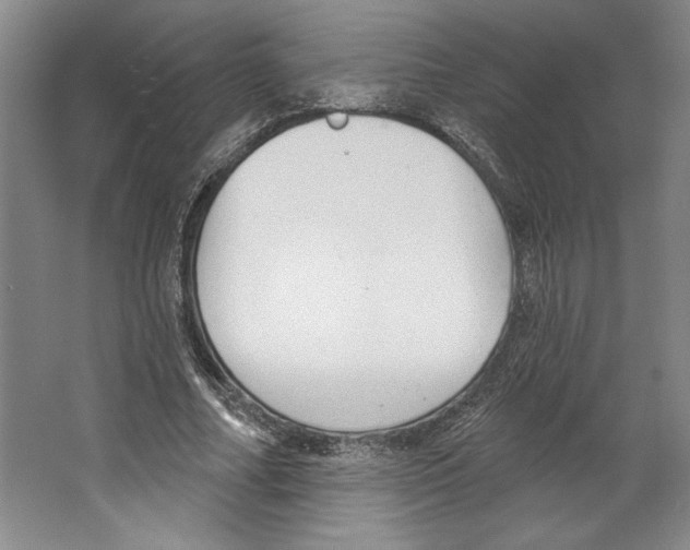 X0000067330682200604281419