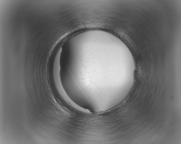 X0000067330684200604281419
