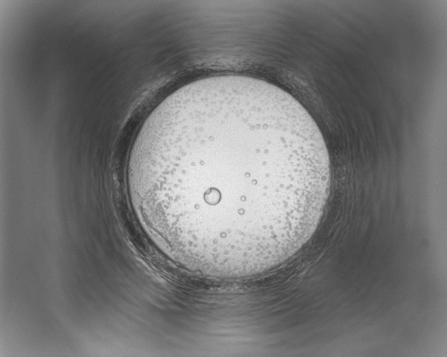X0000067330688200604281419