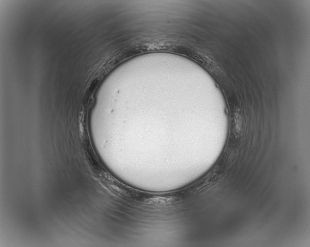 X0000067330691200604281419
